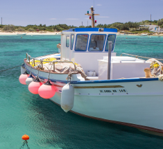 ステップアップ